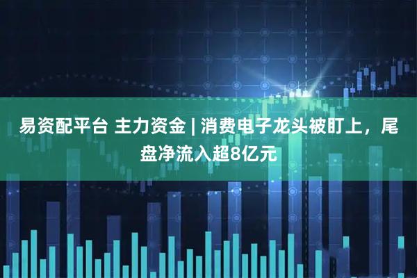 易资配平台 主力资金 | 消费电子龙头被盯上，尾盘净流入超8亿元