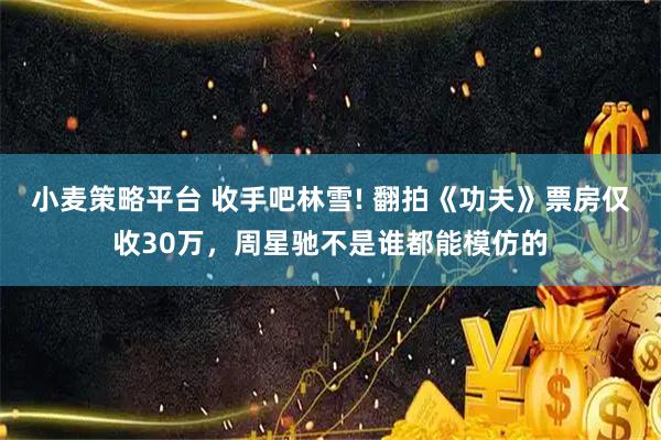 小麦策略平台 收手吧林雪! 翻拍《功夫》票房仅收30万，周星驰不是谁都能模仿的