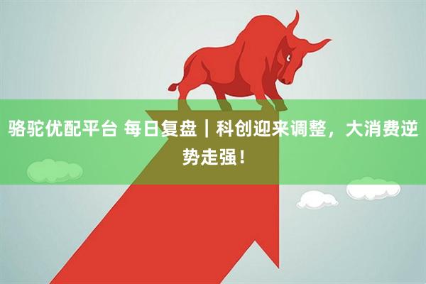 骆驼优配平台 每日复盘｜科创迎来调整，大消费逆势走强！
